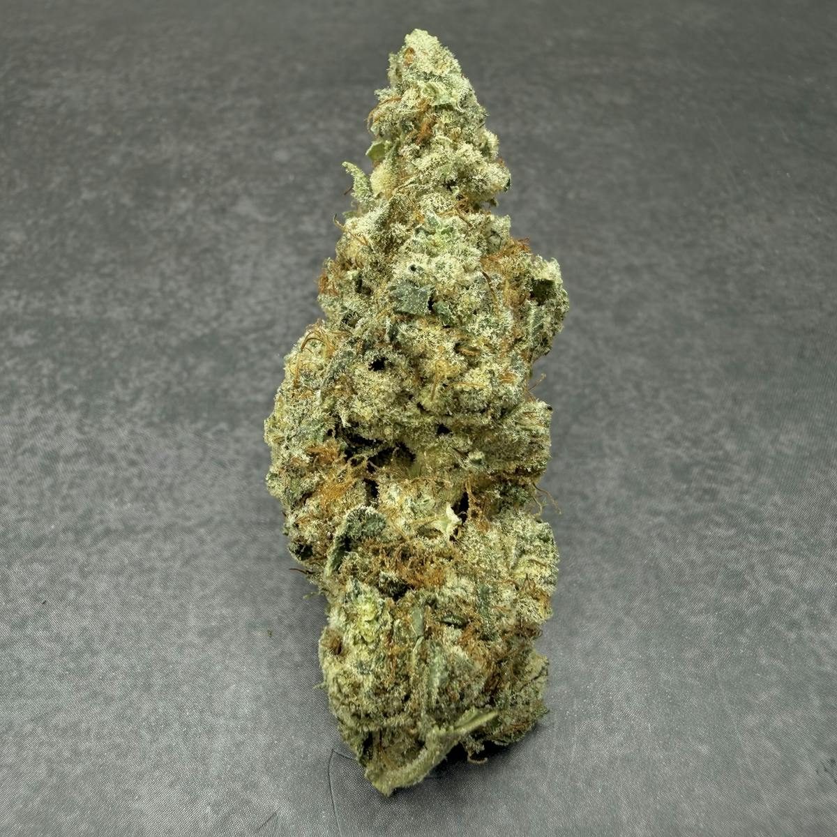 A hand-trimmed cannabis flower grown at Strawberry Fields Apothecary
